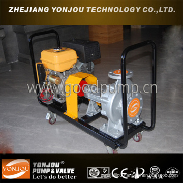 Air Cooled Hot Oil Pump, Hot Oil Transfer Pump, Oil Pump, Lube Oil Centrifugal Pump